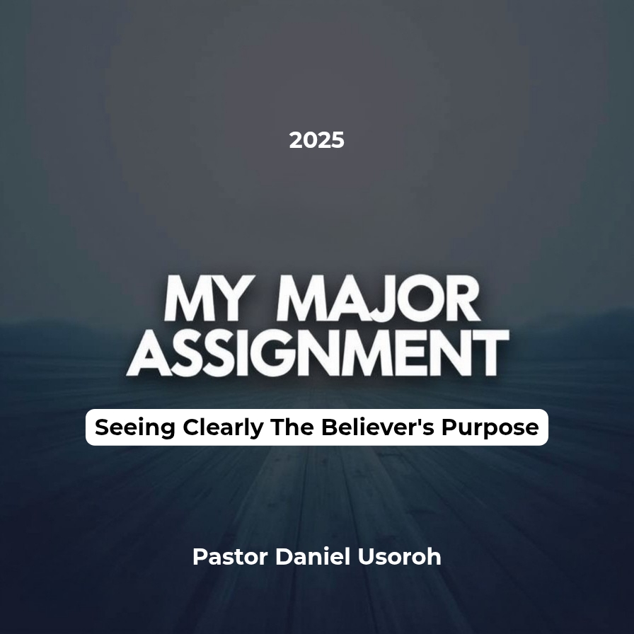 My Major Assignment